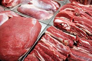توزیع گسترده گوشت قرمز با نرخ دولتی