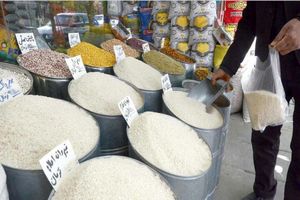 قیمت برنج ایرانی در بازار/ جدول