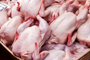 قیمت جدید مرغ قطعه‌بندی و بسته‌بندی شده