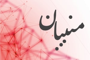 آیفون ۱۴ پرو مکس به ۸۵ میلیون رسید/ جدول