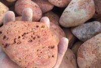 همه چیز درباره سنگ رودخانه ای (pebble)