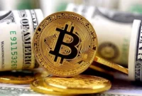 قیمت ارز دیجیتال بیت کوین امروز ۸ مرداد ۱۴۰۴افزایش یافت و از ۱۱۷ هزار دلار عبور کرد قیمت ارز دیجیتال بیت کوین امروز ۸ مرداد ۱۴۰۴افزایش یافت و از ۱۱۷ هزار دلار عبور کرد