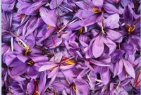 طلای سرخ ایران و مسیر جهانی شدن در سال ۱۴۰۴