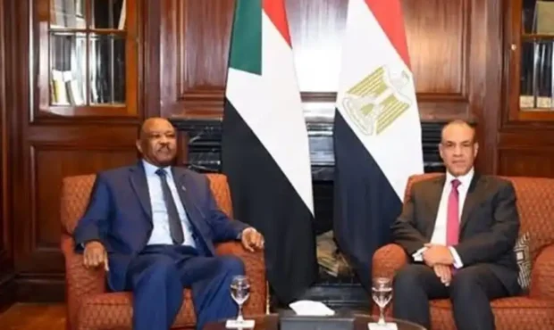 اعدام ۲ هزار نفر شهروند سودانی در دست نیروهای واکنش سریع در سودان اعدام ۲ هزار نفر شهروند سودانی در دست نیروهای واکنش سریع در سودان