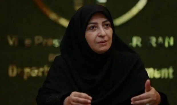 جنجال سفر شینا انصاری به برزیل برای حضور در اجلاس تغییرات اقلیمی (کاپ ۳۰) جنجال سفر شینا انصاری به برزیل برای حضور در اجلاس تغییرات اقلیمی (کاپ ۳۰)