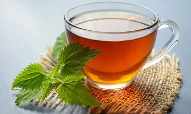 توصیه پژوهشگران به زنان : چای بنوشید توصیه پژوهشگران به زنان : چای بنوشید