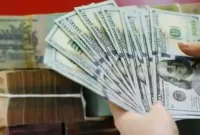 قیمت دلار در بازار امروز یکشنبه ۱۲ بهمن ۱۴۰۴