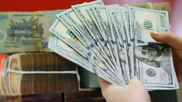 قیمت دلار در بازار امروز یکشنبه ۱۲ بهمن ۱۴۰۴ قیمت دلار در بازار امروز یکشنبه ۱۲ بهمن ۱۴۰۴