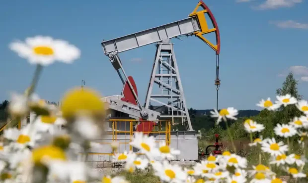 قیمت نفت اندکی افزایش یافت