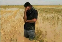 30 همت اعتبار برای جبران خسارات کشاورزان