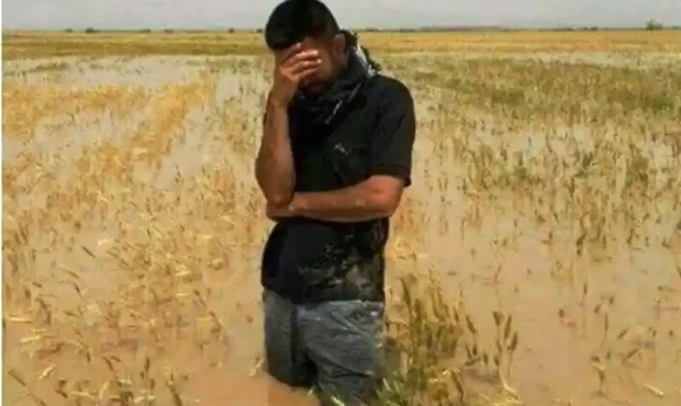 30 همت اعتبار برای جبران خسارات کشاورزان