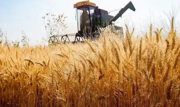 حق بیمه سهم کشاورز توسط دولت پرداخت خواهد شد