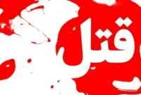 جزئیات پرونده و روند کشف قاتل ریتا جبلی