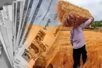 جزئیات پرداخت مطالبات گندم‌کاران  از ۱۶ اردیبهشت تا ۲۰ خرداد ۱۴۰۵
