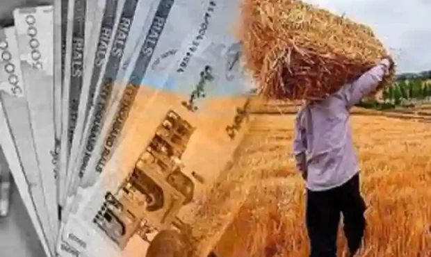 جزئیات پرداخت مطالبات گندم‌کاران  از ۱۶ اردیبهشت تا ۲۰ خرداد ۱۴۰۵