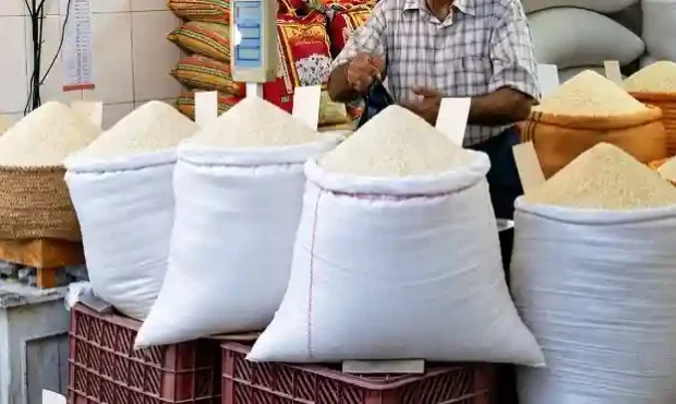 طرح شهرداری تهران برای تثبیت قیمت گوشت، مرغ، برنج و شکر در میادین میوه و تره‌بار