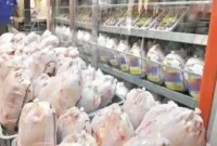 احتمال توقف صادرات گوشت مرغ و عرضه ذخایر منجمد